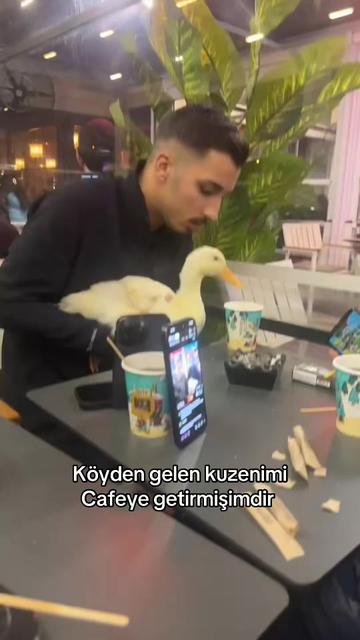 @Kurdish delight