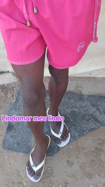 @vera ver&atilde;o do nordeste