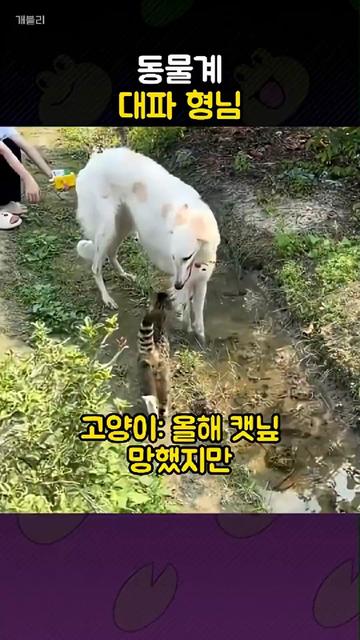 @개블리