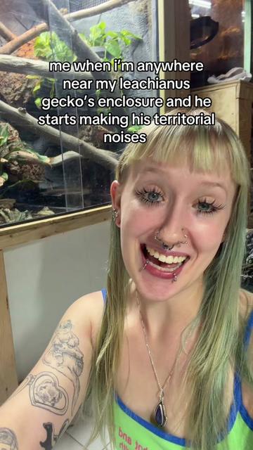@layla🦎🍃