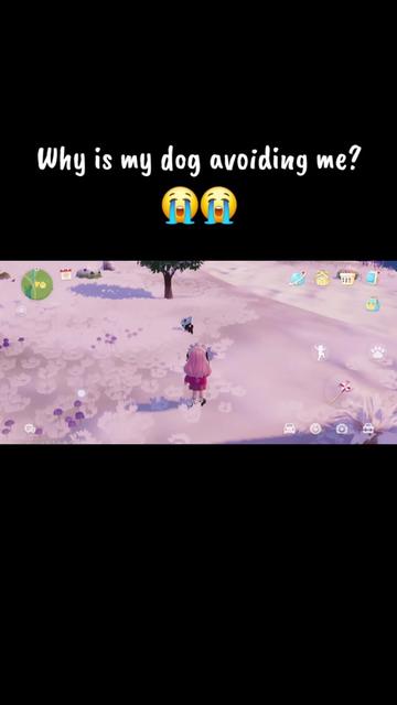 @chiaseadz