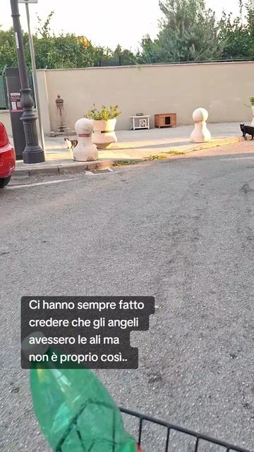 @luciadauria47
