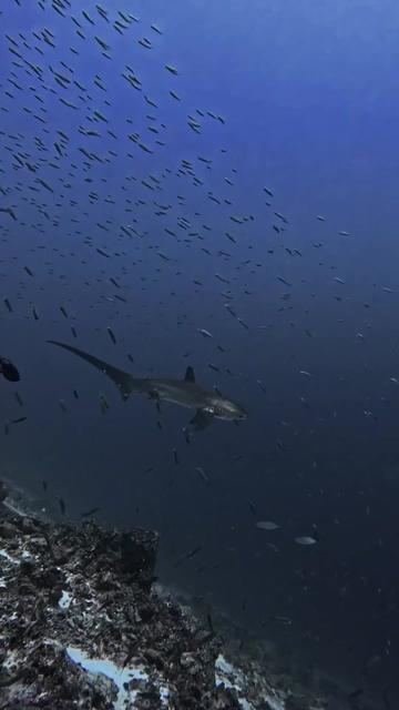 @Visit Fuvahmulah