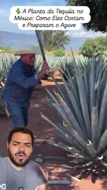 @Obrasilense