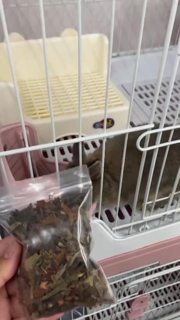 @Pet for Life