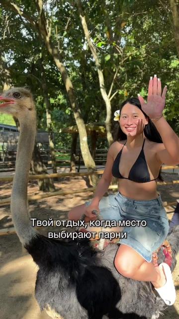 @hey.nodi