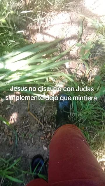 @La cubana Oficial