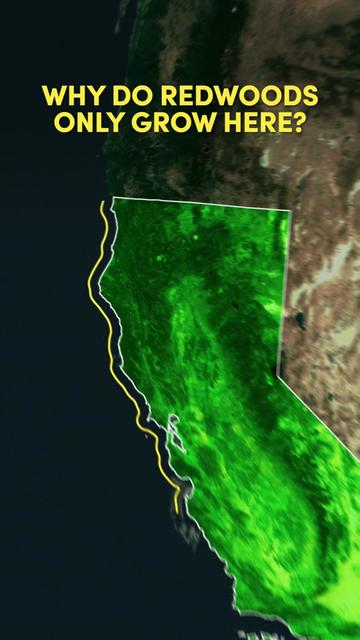 @Uncovering California