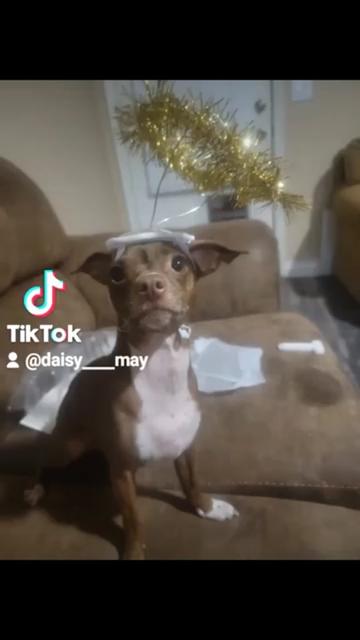 @DAISY MAY