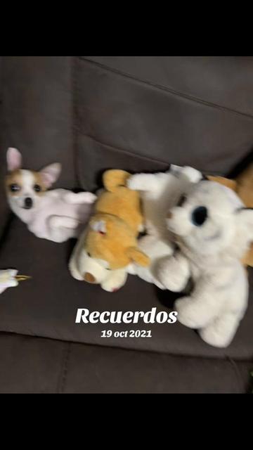 @Luis Leiva