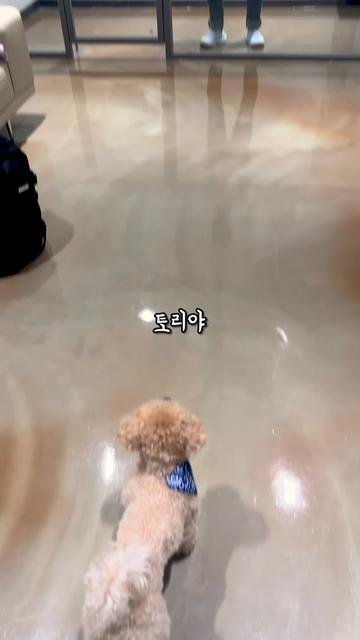 @원샷한솔