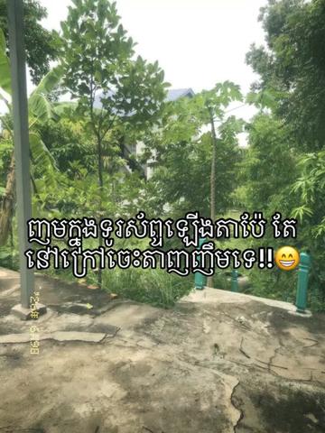 @leler__67