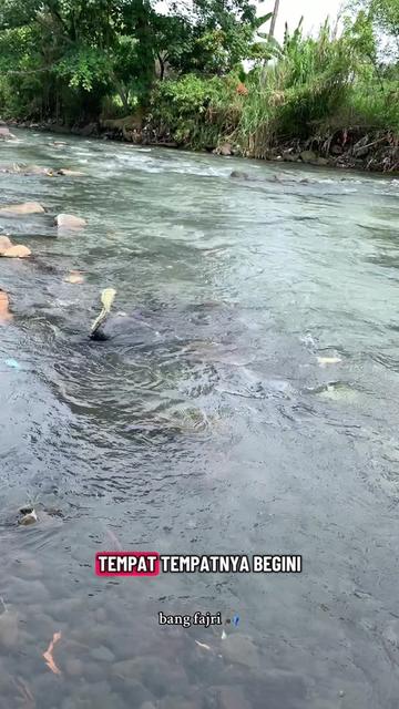 @Bang Fajri 🎣