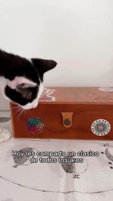 @La Estrella Terapias