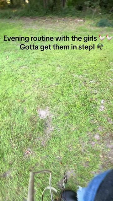 @Our Family Farm