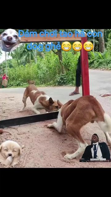 @Sơn_37🇻🇳💝🇻🇳💝🇻🇳