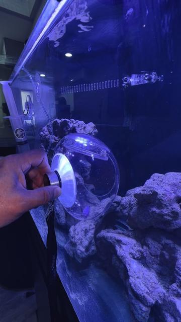@Tankmatez.com USA