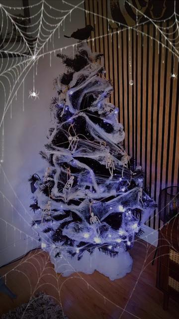 @🐦&zwj;⬛ᛊᛁᚾᛞᛖᚱᛊ 🪦💀😈SINDERS