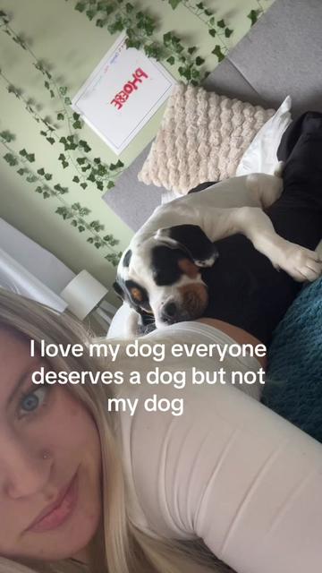 @defo.not.phoebee