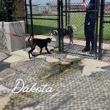 @Barking Mad Animal Refuge