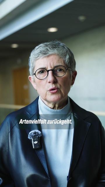 @Grüne im Bundestag