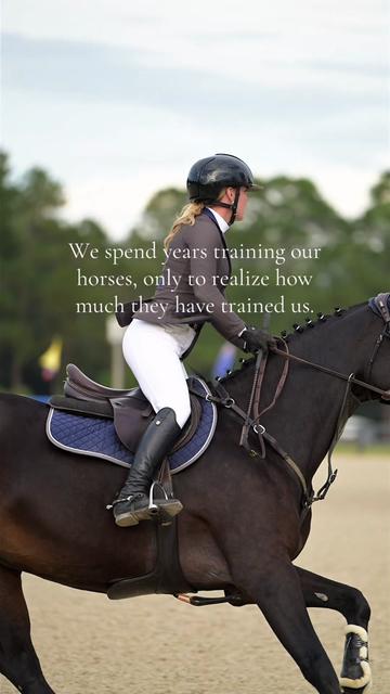 @Free Ride Equestrian
