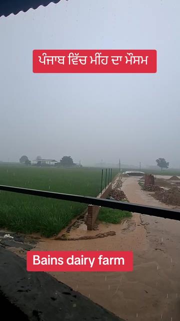 @MandeepBainspb12