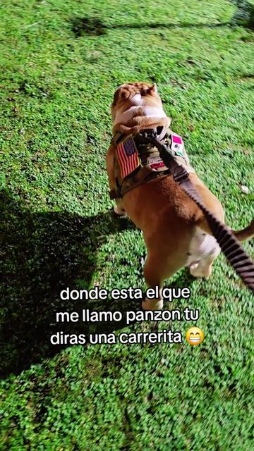 @carlos quintero