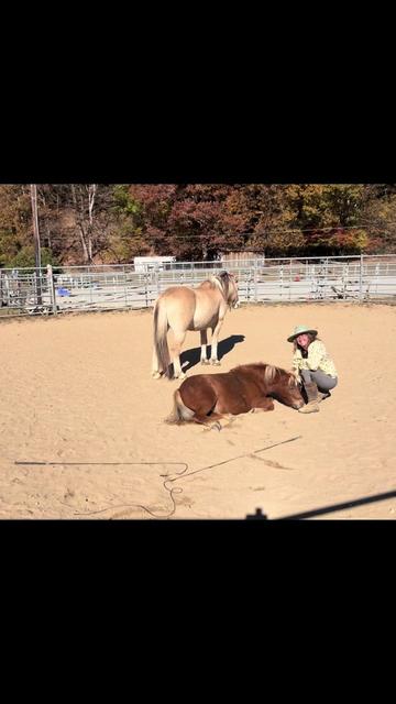 @Janet..Fuzzy.farm.gang