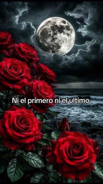 @Muchachaenamoradadelavida