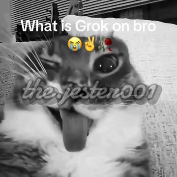 @Jester
