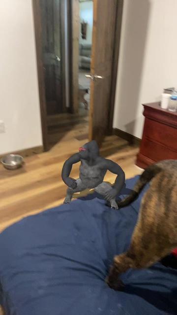 @gamerboy1233