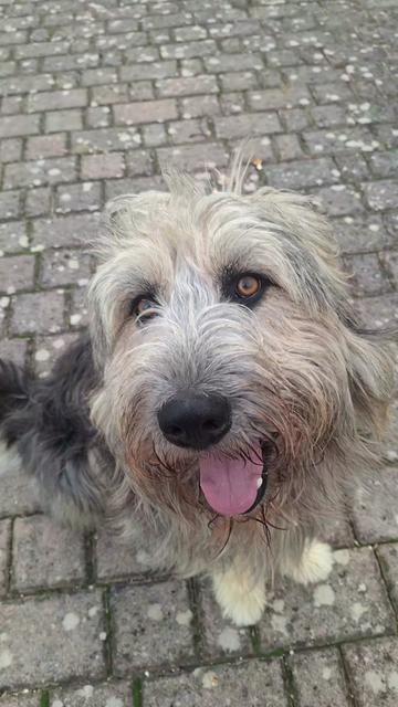 @Pablo 72