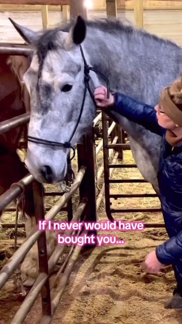 @Free Spirit Equestrian