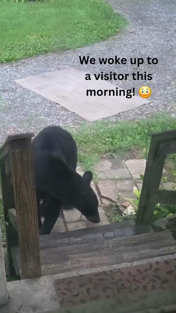 @tamryn