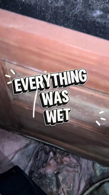 @Long Island Mold Guy