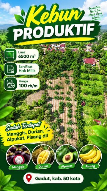 @Sumbar Property