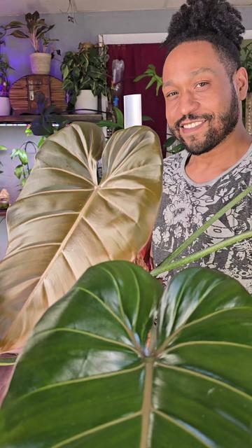 @JT - BigEGOPlants