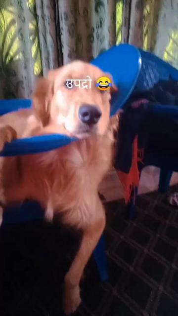 @💫SITA BHUJEL💫KOIRALA💥