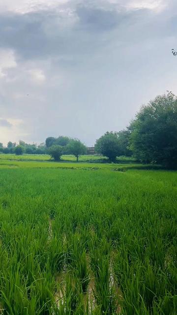 @Samoon Khan l❤️🏏