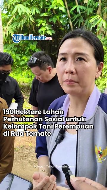 @TribunTernate.com