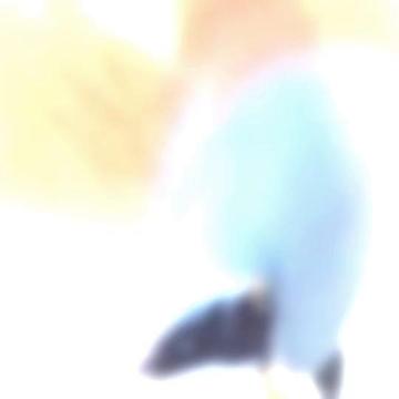@─ ⋆&sdot;𖤓&sdot;ᥲmᥱ𝗍һᥡs𝗍  ∿ 🚦