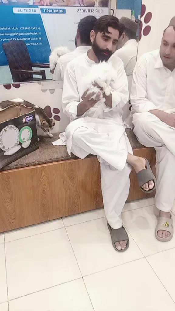 @Syed shahg