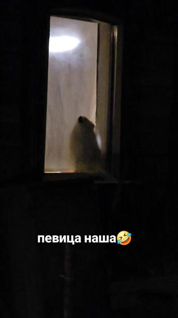 @nerachka