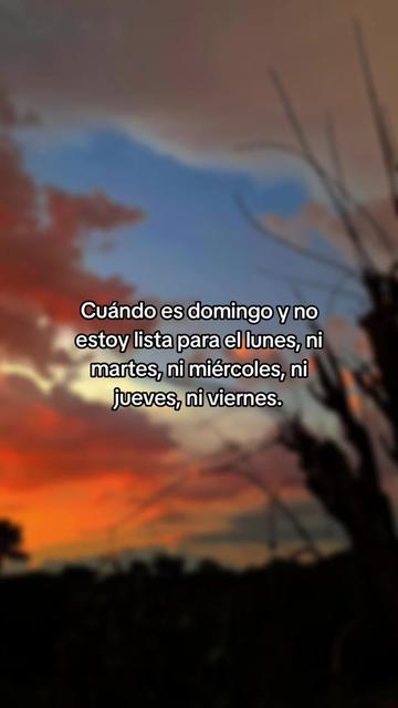 @🌺kary🌺
