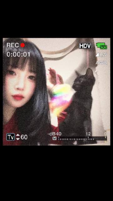 @RingoLYN🥋りんごリン링고린🍎