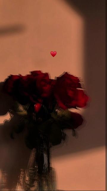 @⋆。°✩☽ …è ☾✩°。⋆