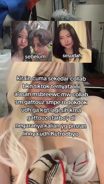 @ms brewc x gattouz