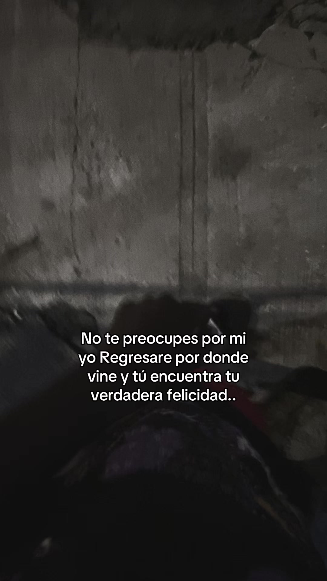 @Moquito 🦟👣