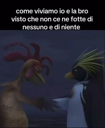 @safi_ste_spamm